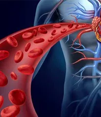 Chelation therapy