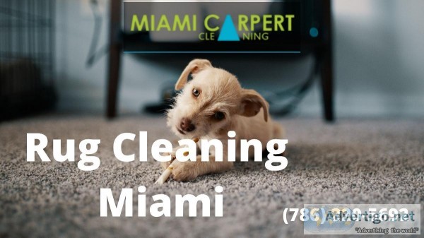 Who can provide best Rug Cleaning Service in Miami