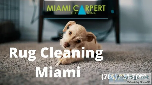 Who can provide best Rug Cleaning Service in Miami