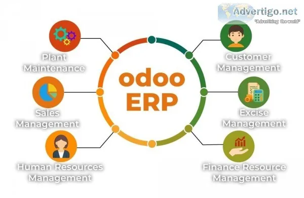 Hire Dedicated Odoo Developer