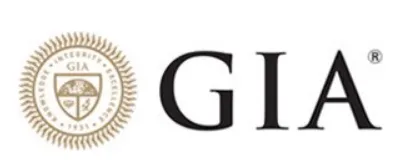 Indian Diamond Institute  Diamond Certification Course