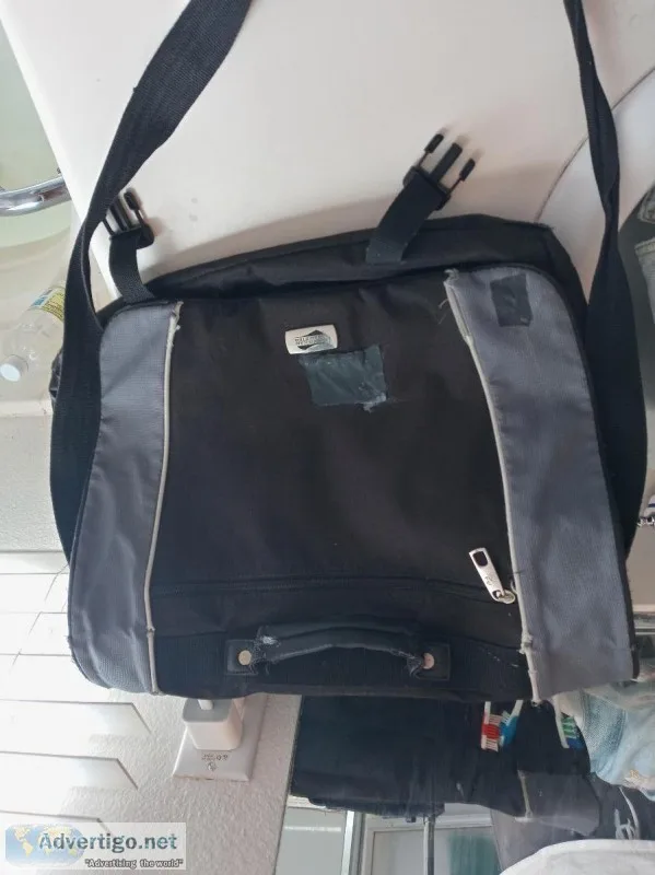TravelingCarrying Case