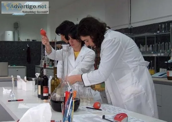 Global Food Safety Initiative Consultant