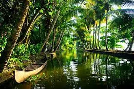 Travel