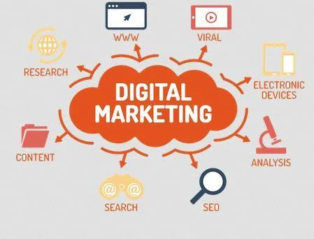 Seorises India - Leading Professional Digital Marketing Company 