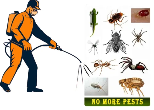 Commercial Pest Control Services in Albany NY