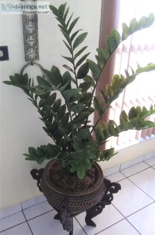 WickerWood Planter wZZ Faux Plant