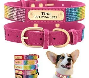 Pet Jackets - Buy Dog Jackets Online USA  Jackets for Dogs - Cur
