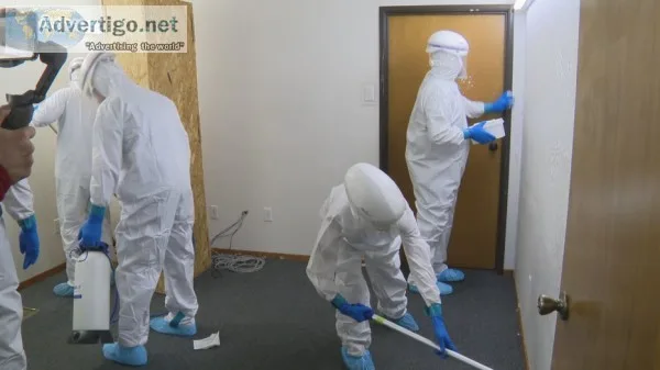 What is Mold Remediation