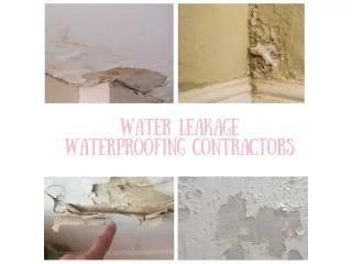 Wall Leakage Waterproofing Services