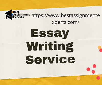 Essay Writing Service