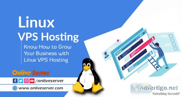 Get your business with linux usa vps hosting by onlive server