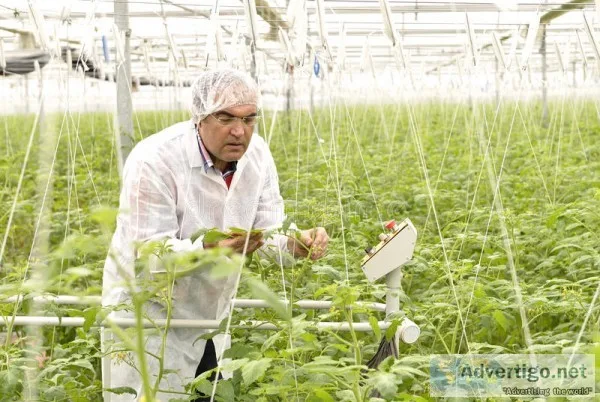 Agriculture workers recruitment services