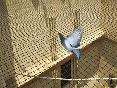Pest Control Services in Mulund by Sadguru Pest Control