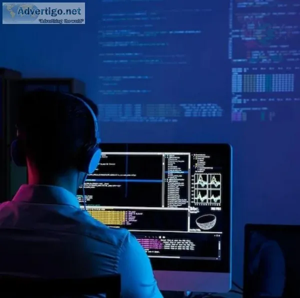 Best Custom Business Solutions in Pune  Presana.systems