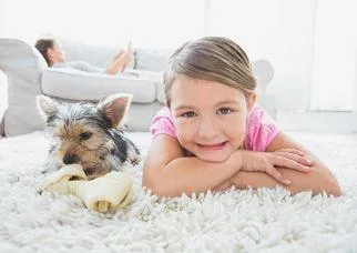 Car Upholstery Cleaning1300136365