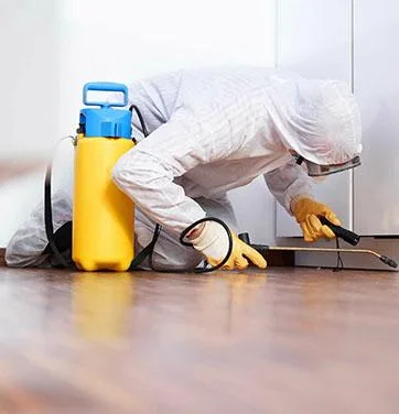Best Pest Control Services in Delhi NCR- Apest Management