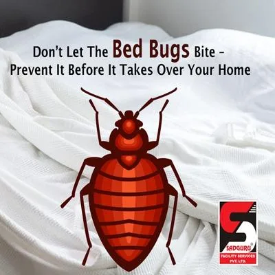 Pest Control Services in Mumbai by Sadguru Pest Control