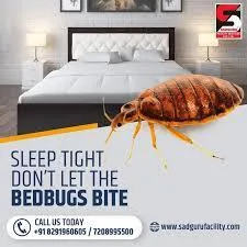 Pest Control Services in Powai by Sadguru Pest Control