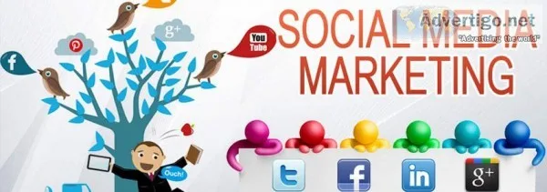 Social Media Marketing Packages in India