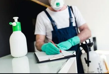 Sameday Pest Control Rye