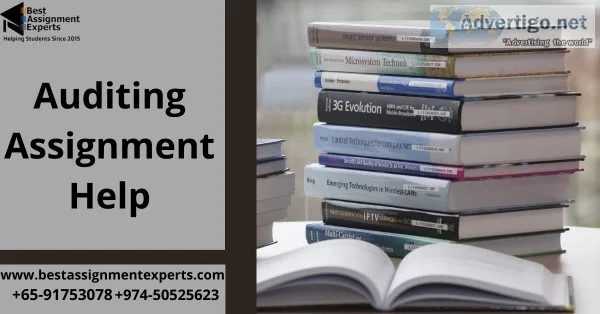 Auditing Assignment