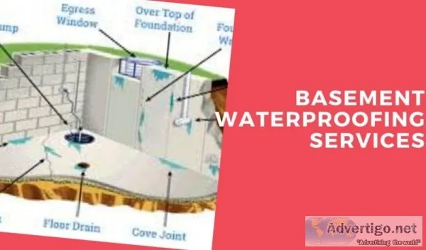 Professional Basement Waterproofing Contractors