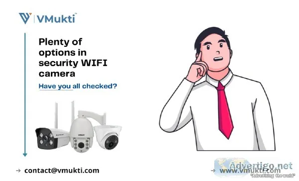 Plenty of options in security WIFI camera- Have you all checked