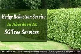 Garden and Tree Maintenance Services In Aberdeen