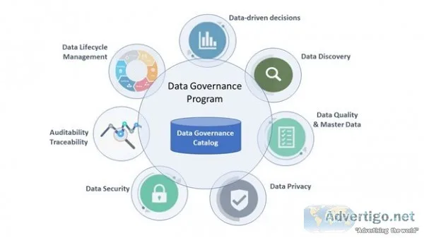 Master data governance