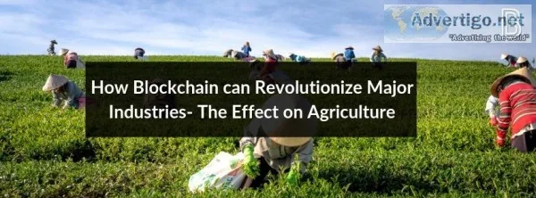 How Blockchain Can Revolutionized Major Industries - The Effect 