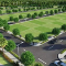 Prestige marigold plots
