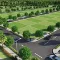 Prestige marigold plots
