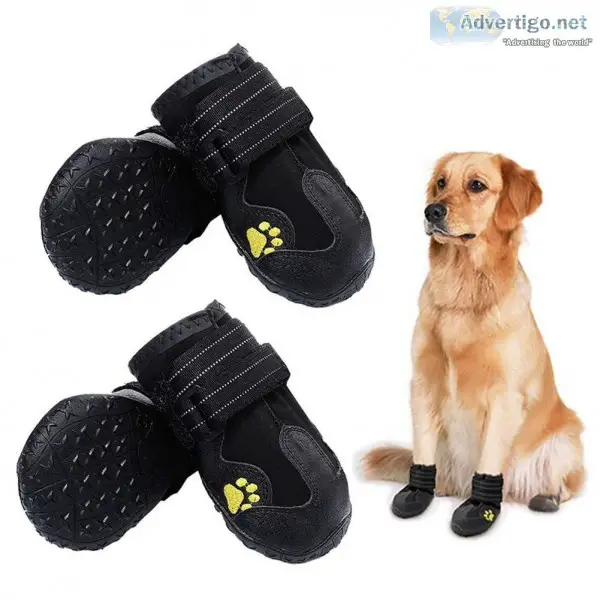 Find Footwear Shoes and Boots for Pet Dogs