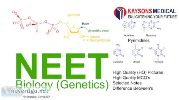 NEET Genetics questions