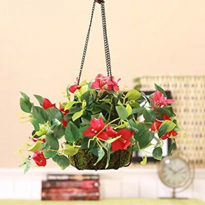 Hanging planters