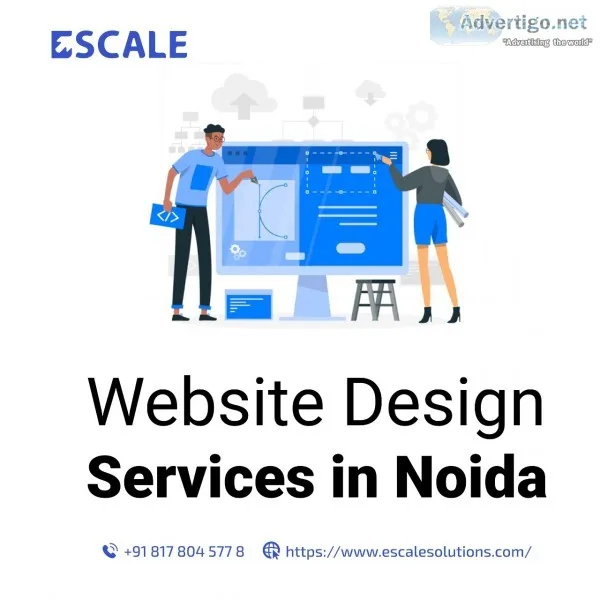 Explore the best option for designing your website