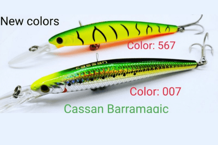 Best fishing equipments in goa - casaibrahim