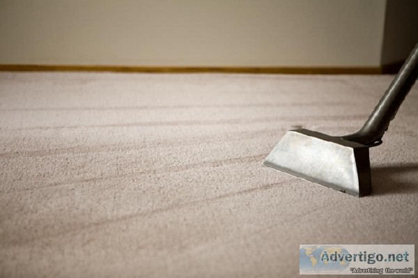 Searching for Dry Carpet Cleaning in Brisbane