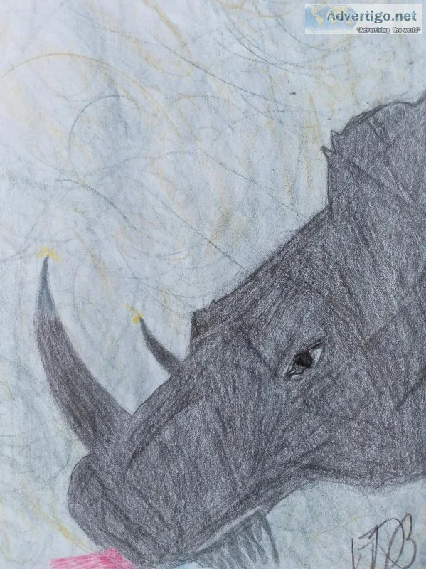 In the Midsts of a Rhino