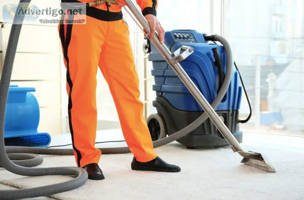 Get Same Day Carpet Cleaning Services