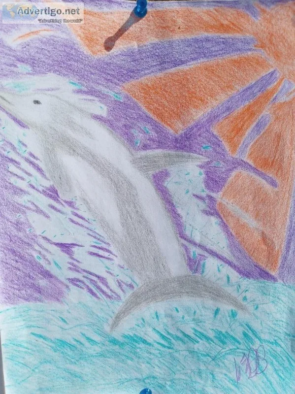 A Dolphin Morning