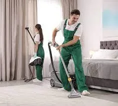 Carpet Cleaning Surrey  604 692 2539