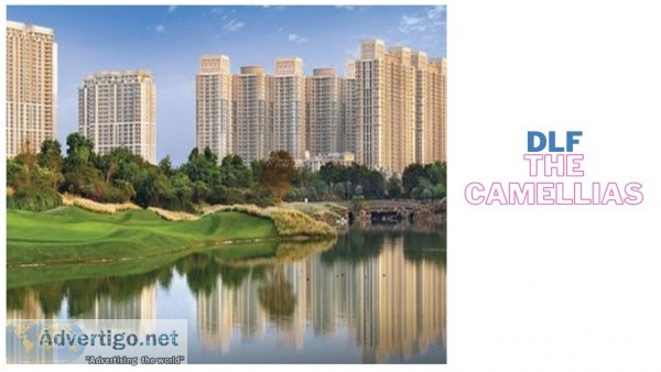 Get dlf camellias floor plan, interior, flat price, brochur