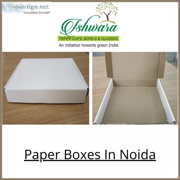 Paper Glass In Noida  Paper Glass In india