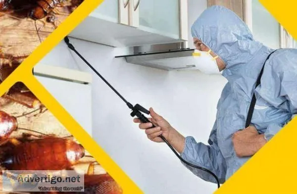 Pest control south Delhi