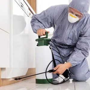Highly Skilled Termite Control Expert in Florida.
