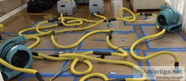 Water damage carpet drying Adelaide offers reliable and affordab