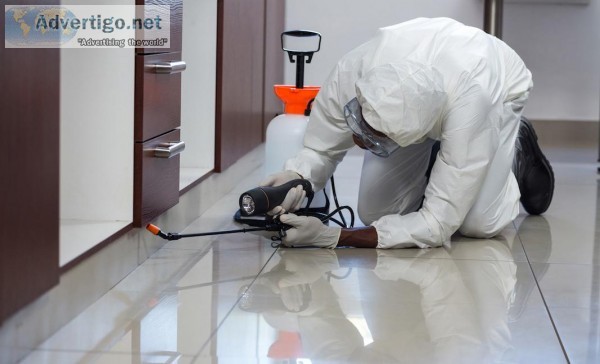 Call our expert pest control services near you in Bradenton.