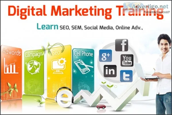 Seo company lucknow | web development company in lucknow